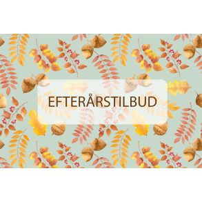 EFTERÅRS-TILBUD 2025