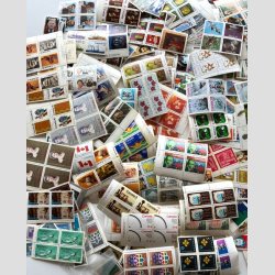 FRIM�RKER CANADA | K�mpe parti nyere postfriske m�rker i blokke og enkeltm�rker  