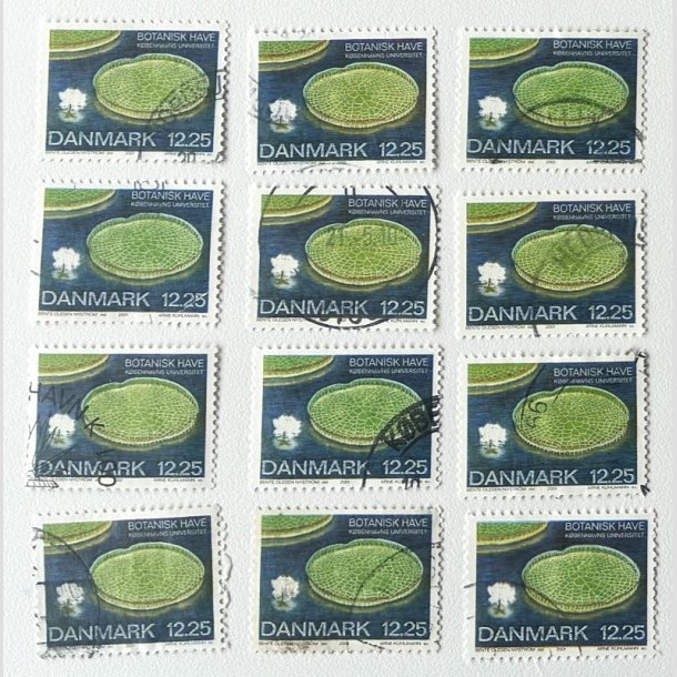 FRIM�RKER DANMARK | 2001 - AFA 1274 - Botanisk have. - 12,25 Kr. K�mpe�kande x 12 stk. - Stemplet