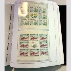 FRIM�RKER GR�NLAND | SAMLING + LAGER | Fin samling i Stender med meget postfrisk + noget lager  