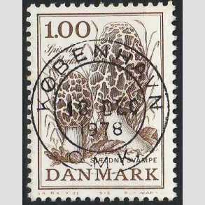 FRIM�RKER DANMARK | 1978 - AFA 669 - Sj�ldne svampe - 1,00 Kr. brun - Pragt Stemplet
