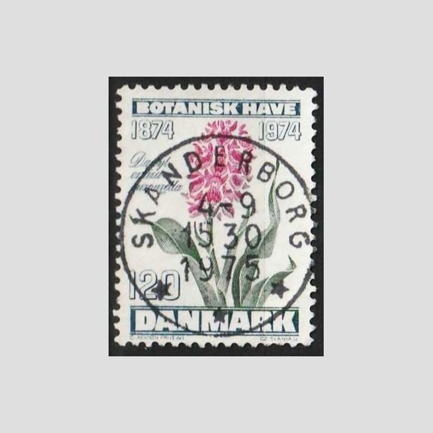 FRIMRKER DANMARK | 1974 - AFA 578 - Botanisk Have 100 r. - 120 re - Pragt Stemplet