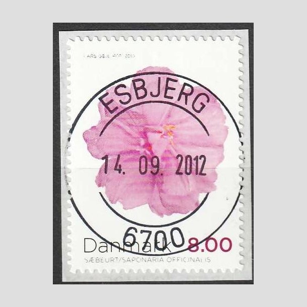 FRIMRKER DANMARK | 2012 - AFA 1715a - Efterrsblomster - 8,00 Kr. flerfarvet - Pragt Stemplet