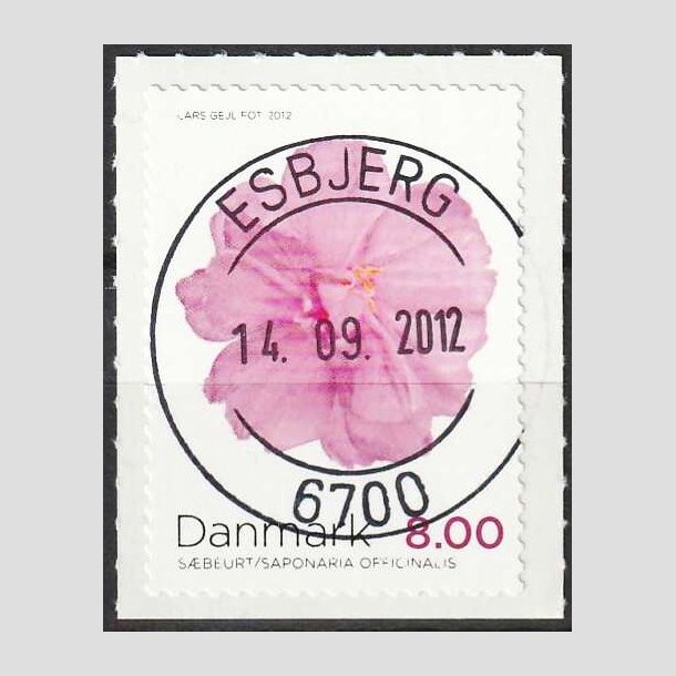 FRIMRKER DANMARK | 2012 - AFA 1715 - Efterrsblomster - 8,00 Kr. flerfarvet - Pragt Stemplet