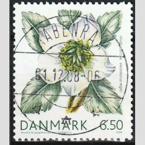 FRIM�RKER DANMARK | 2008 - AFA 1557 - Vinterb�r - 6,50 Kr. hvid julerose - Lux Stemplet