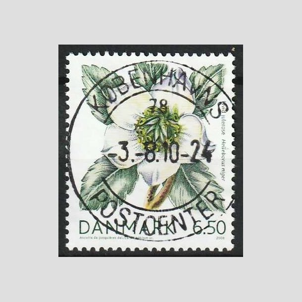 FRIMRKER DANMARK | 2008 - AFA 1557 - Vinterbr - 6,50 Kr. hvid julerose - Lux Stemplet