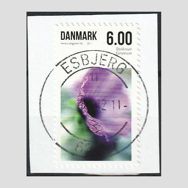 FRIMRKER DANMARK | 2011 - AFA 1664A - Sommerens blomster - 6,00 Kr. flerfarvet - Pragt Stemplet