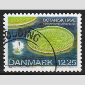 FRIM�RKER DANMARK | 2001 - AFA 1274 - Botanisk have. - 12,25 Kr. K�mpe�kande. - P�nt Stemplet 