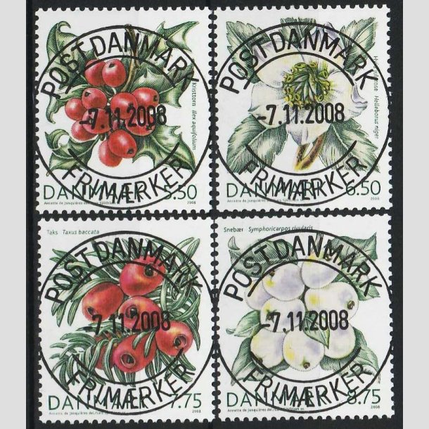 FRIM�RKER DANMARK | 2008 - AFA 1556-59 - Vinterb�r - Komplet s�t - Pragt Stemplet