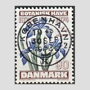 FRIM�RKER DANMARK | 1974 - AFA 577 - Botanisk Have 100 �r. - 90 �re brun/bl�/gr�n - Pragt Stemplet K�benhavn