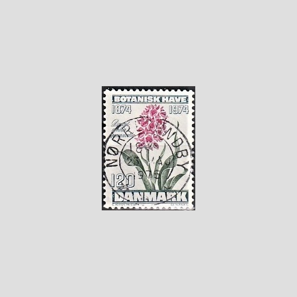 FRIMRKER DANMARK | 1974 - AFA 578 - Botanisk Have 100 r. - 120 re blgrn/violet/grn - Pragt Stemplet