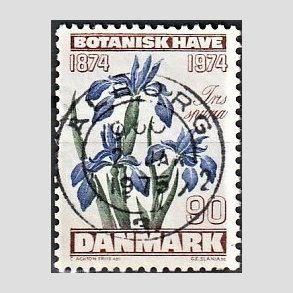 FRIM�RKER DANMARK | 1974 - AFA 577 - Botanisk Have 100 �r. - 90 �re brun/bl�/gr�n - Pragt Stemplet �lborg
