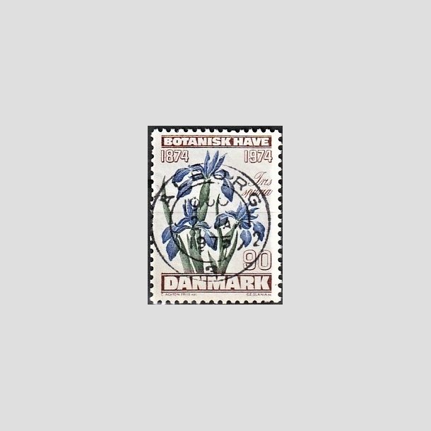 FRIMRKER DANMARK | 1974 - AFA 577 - Botanisk Have 100 r. - 90 re brun/bl/grn - Pragt Stemplet lborg