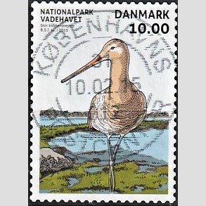 FRIM�RKER DANMARK | 2015 - AFA 1807 - Nationalpark Vadehavet - 10,00 Kr. kobbersneppe - Pragt Stemplet
