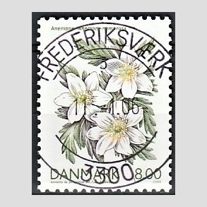FRIM�RKER DANMARK | 2006 - AFA 1458 - For�rsblomster - 8,00 Kr. Anemone - Pragt Stemplet