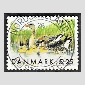 FRIM�RKER DANMARK | 1999 - AFA 1223 - Danske tr�kfugle - 5,25 Kr. gr�g�s - Pragt Stemplet