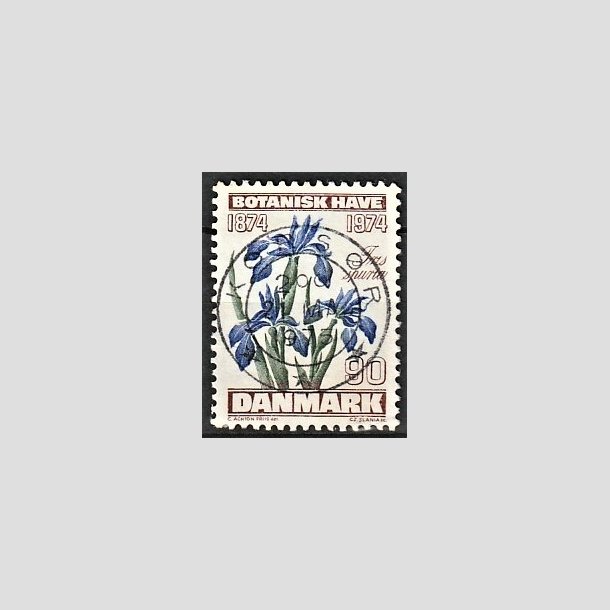 FRIMRKER DANMARK | 1974 - AFA 577 - Botanisk Have 100 r. - 90 re brun/bl/grn - Pragt Stemplet Korsr