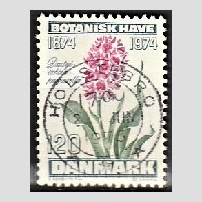 FRIM�RKER DANMARK | 1974 - AFA 578 - Botanisk Have 100 �r. - 120 �re bl�gr�n/violet/gr�n - Pragt Stemplet Holstebro