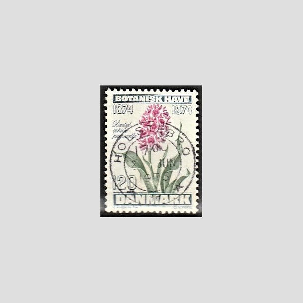 FRIMRKER DANMARK | 1974 - AFA 578 - Botanisk Have 100 r. - 120 re blgrn/violet/grn - Pragt Stemplet Holstebro
