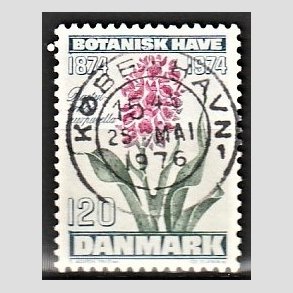 FRIM�RKER DANMARK | 1974 - AFA 578 - Botanisk Have 100 �r. - 120 �re bl�gr�n/violet/gr�n - Pragt Stemplet K�benhavn