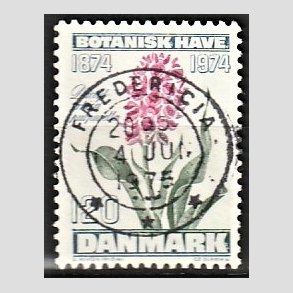 FRIM�RKER DANMARK | 1974 - AFA 578 - Botanisk Have 100 �r. - 120 �re bl�gr�n/violet/gr�n - Pragt Stemplet Fredericia
