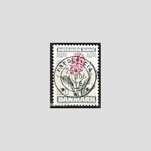 FRIMRKER DANMARK | 1974 - AFA 578 - Botanisk Have 100 r. - 120 re blgrn/violet/grn - Pragt Stemplet Fredericia