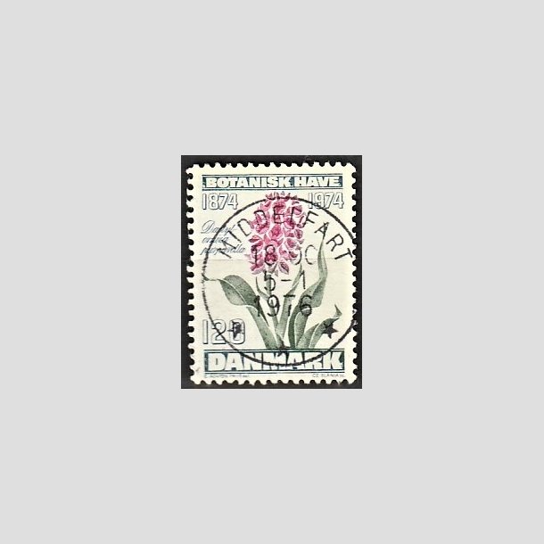 FRIMRKER DANMARK | 1974 - AFA 578 - Botanisk Have 100 r. - 120 re blgrn/violet/grn - Pragt Stemplet Middelfart