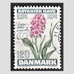FRIMRKER DANMARK | 1974 - AFA 578 - Botanisk Have 100 r. - 120 re blgrn/violet/grn - Alm. god gennemsnitskvalitet - Stemplet (Photo eksempel)
