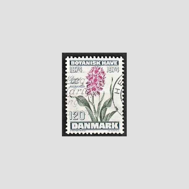 FRIMRKER DANMARK | 1974 - AFA 578 - Botanisk Have 100 r. - 120 re blgrn/violet/grn - Alm. god gennemsnitskvalitet - Stemplet (Photo eksempel)