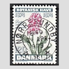 FRIM�RKER DANMARK | 1974 - AFA 578 - Botanisk Have 100 �r. - 120 �re bl�gr�n/violet/gr�n - Pragt Stemplet N�rresundby