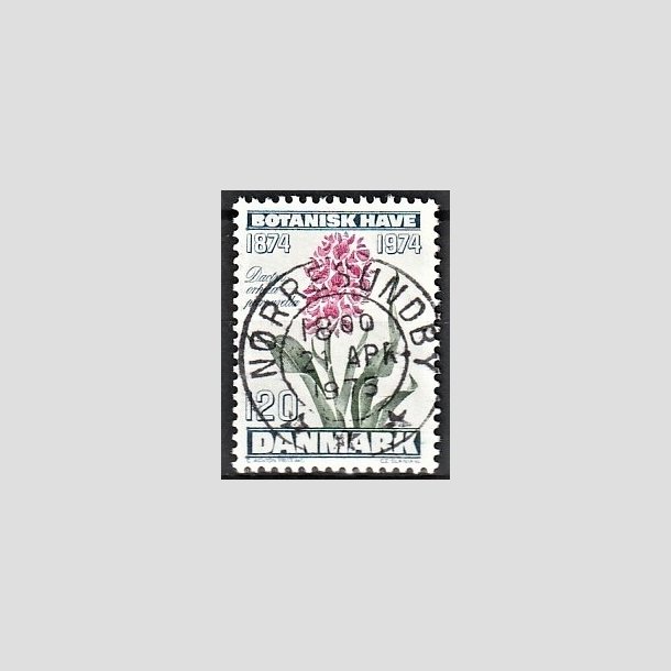 FRIMRKER DANMARK | 1974 - AFA 578 - Botanisk Have 100 r. - 120 re blgrn/violet/grn - Pragt Stemplet Nrresundby