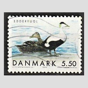 FRIMRKER DANMARK | 1999 - AFA 1224 - Danske trkfugle - 5,50 Kr. edderfugl - Alm. god gennemsnitskvalitet - Stemplet (Photo eksempel)
