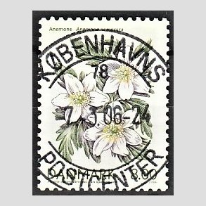 FRIM�RKER DANMARK | 2006 - AFA 1458 - For�rsblomster - 8,00 Kr. Anemone - Pragt Stemplet