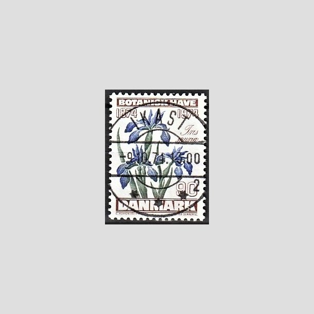 FRIMRKER DANMARK | 1974 - AFA 577 - Botanisk Have 100 r. - 90 re brun/bl/grn - Pragt Stemplet