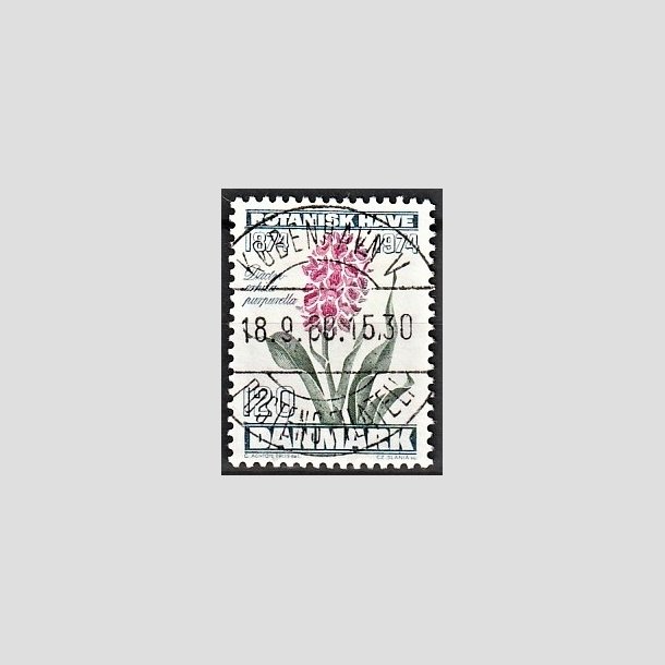 FRIMRKER DANMARK | 1974 - AFA 578 - Botanisk Have 100 r. - 120 re blgrn/violet/grn - Pragt Stemplet