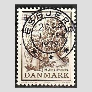 FRIM�RKER DANMARK | 1978 - AFA 669 - Sj�ldne svampe - 1,00 Kr. brun - Pragt Stemplet