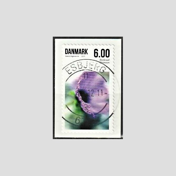 FRIMRKER DANMARK | 2011 - AFA 1664 - Sommerens blomster - 6,00 Kr. flerfarvet - Pragt Stemplet