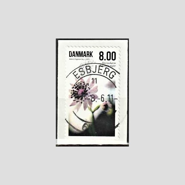 FRIMRKER DANMARK | 2011 - AFA 1665 - Sommerens blomster - 8,00 Kr. flerfarvet - Pragt Stemplet