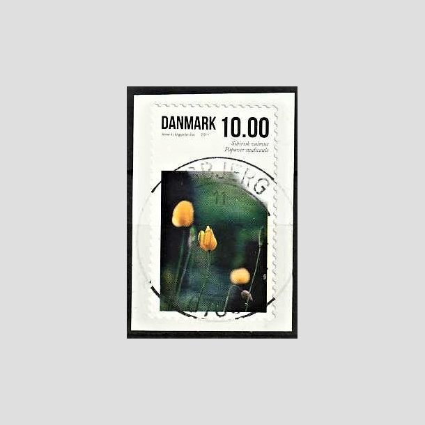 FRIMRKER DANMARK | 2011 - AFA 1666 - Sommerens blomster - 10,00 Kr. flerfarvet - Pragt Stemplet