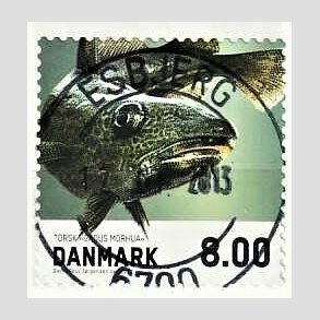 FRIM�RKER DANMARK | 2013 - AFA 1727 - Fisk - 8,00 Kr. torsk - Pragt Stemplet