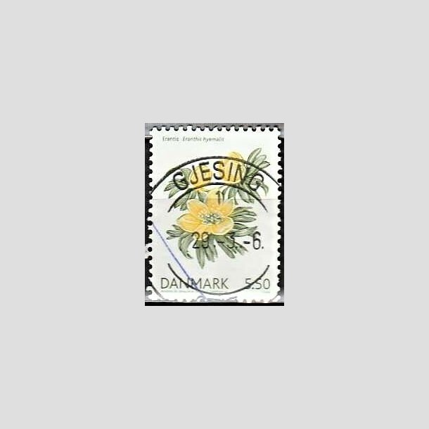 FRIMRKER DANMARK | 2006 - AFA 1456 - Forrsblomster - 5,50 Kr. Erantis - Pragt Stemplet Gjesing