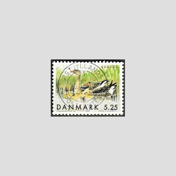 FRIMRKER DANMARK | 1999 - AFA 1223 - Danske trkfugle - 5,25 Kr. grgs - Pragt Stemplet