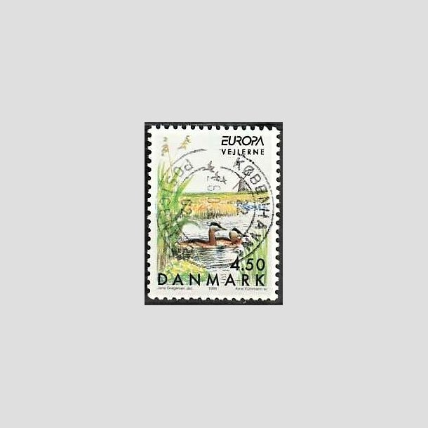 FRIMRKER DANMARK | 1999 - AFA 1209 - Naturreservater - 4,50 Kr. Vejlerne - Pragt Stemplet