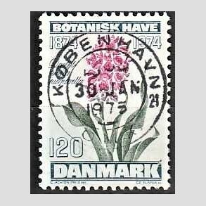 FRIM�RKER DANMARK | 1974 - AFA 578 - Botanisk Have 100 �r. - 120 �re bl�gr�n/violet/gr�n - Pragt Stemplet K�benhavn