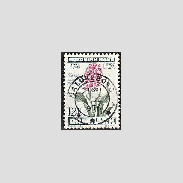 FRIMRKER DANMARK | 1974 - AFA 578 - Botanisk Have 100 r. - 120 re blgrn/violet/grn - Pragt Stemplet Kalundborg