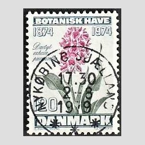 FRIM�RKER DANMARK | 1974 - AFA 578 - Botanisk Have 100 �r. - 120 �re bl�gr�n/violet/gr�n - Pragt Stemplet