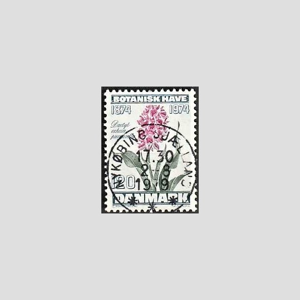 FRIMRKER DANMARK | 1974 - AFA 578 - Botanisk Have 100 r. - 120 re blgrn/violet/grn - Pragt Stemplet