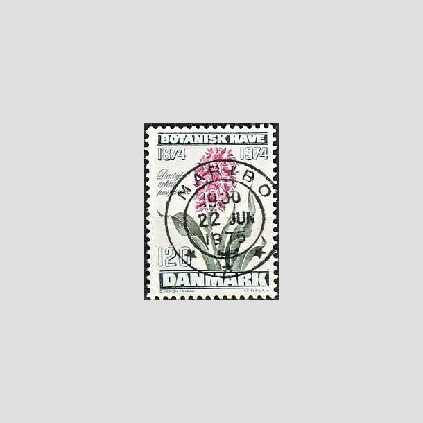 FRIMRKER DANMARK | 1974 - AFA 578 - Botanisk Have 100 r. - 120 re blgrn/violet/grn - Pragt Stemplet