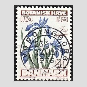FRIM�RKER DANMARK | 1974 - AFA 577 - Botanisk Have 100 �r. - 90 �re brun/bl�/gr�n - Pragt Stemplet