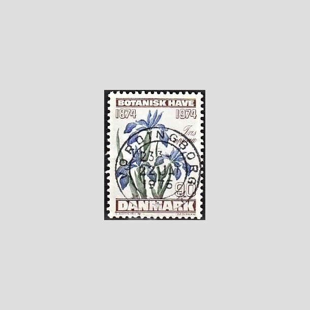 FRIMRKER DANMARK | 1974 - AFA 577 - Botanisk Have 100 r. - 90 re brun/bl/grn - Pragt Stemplet